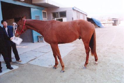 �º� ����