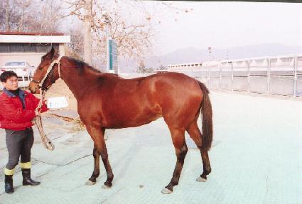 ���� ����