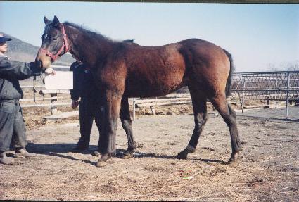 ��õ�� ����