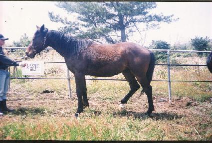 ���� ����