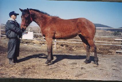 ���ڸ� ����