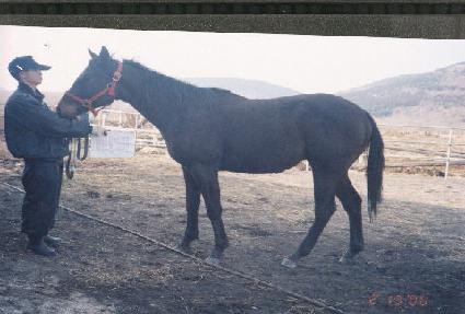 õ�ϵ��� ����