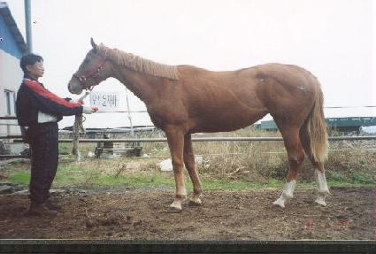 �Ƹ������� ����