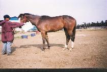 �����屺 (KANGHAN CHANGGUN) ����