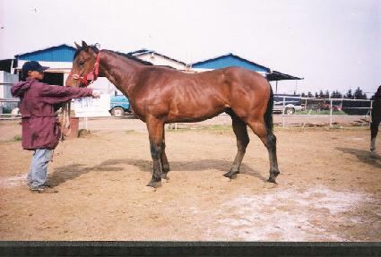 �׸������� ����