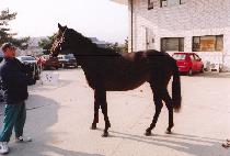 �Ѱ����帧 (HAN-GANG-EUIHEURUM) ����