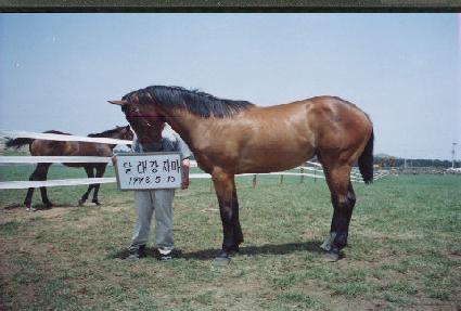 ��Ű���� ����