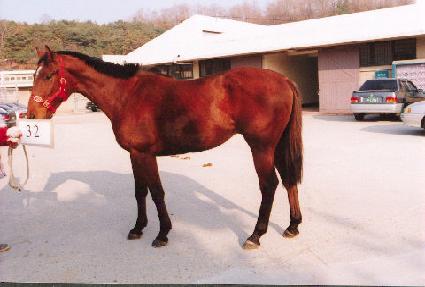 ��ȣ�� ����