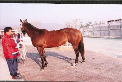 ���غ� ����