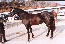 ���� (SUJANG) ����