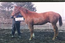 ���� (SEOMNI) ����