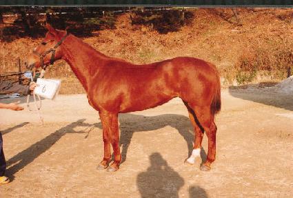 ȥ���� ����