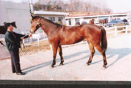 �Ƹ����׽� ����