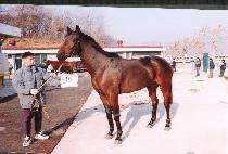 ��ſ��Ϸ� (JEULGEOUN HARU) ����