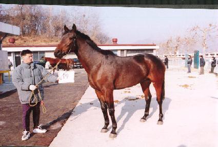 ��ſ��Ϸ� ����