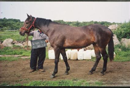 ��� ����