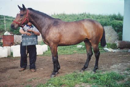 ��� ����