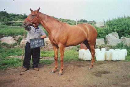 �屺�ǵ� ����