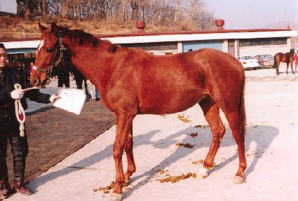 �������� ����