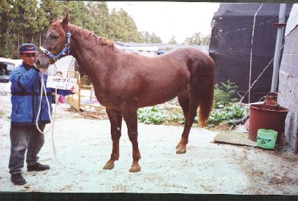 ��� ����