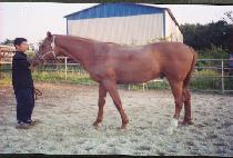 Ȧ������ (HOLS DOT COM) ����