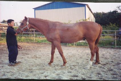 Ȧ������ ����