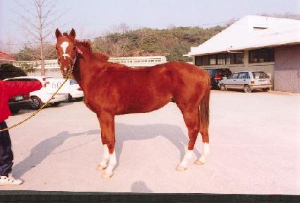 ��ǳ���� ����