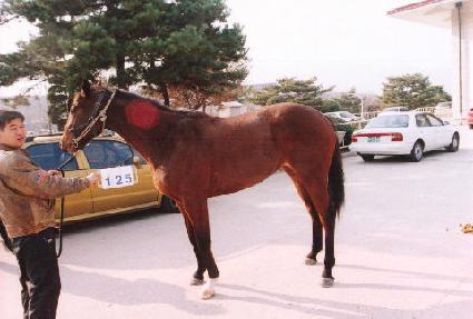 ���س��� ����