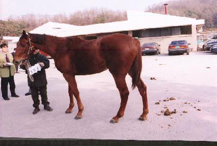 ��� ����