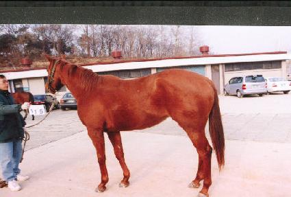 ��ǳ��õ ����