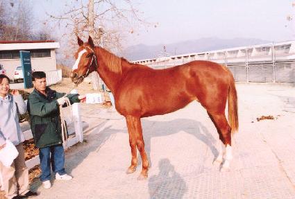 �ʺ��� ����