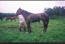 ���¿��� (YEONSEUNG YEONCHUL) ����