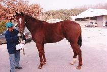 �����º� (NAREUNEUN BYEOL) ����