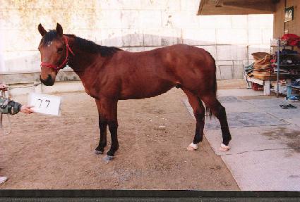 ����Ʈ ����