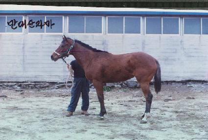 �������� ����