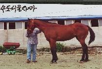 ������ (ICON) ����