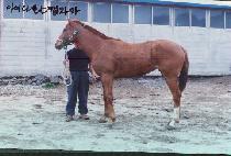 �鵵 (PAEKTO) ����