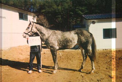 �������� ����