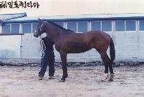 �ֹ��� (SSANGBARI) ����