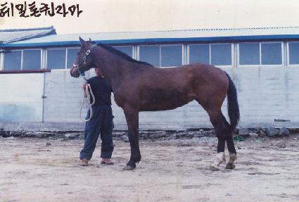 �ֹ��� ����