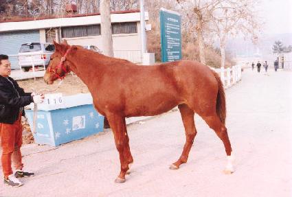 ä�� ����