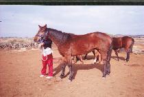 ��⼺�� (JAEGI SEONGGONG) ����