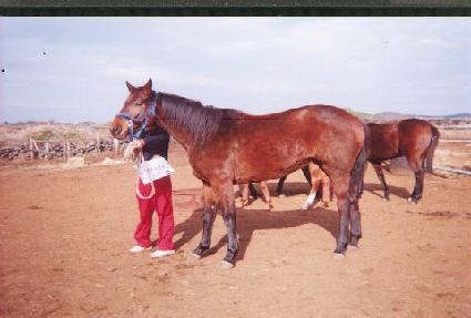 ��⼺�� ����