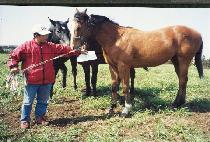 �۰�� (SONGGOLMAE) ����