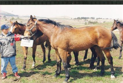 ��ȣ���� ����