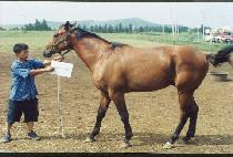 ������ô� (GWANGGAETO SIDAE) ����