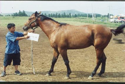 ������ô� ����