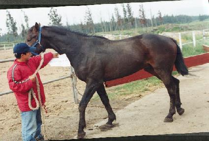 ���ҽ�Ƽ ����