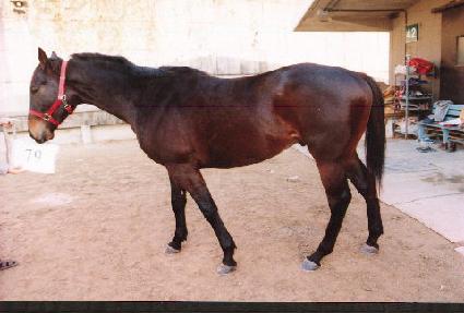 �۾��� ����