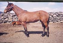 ���ÿ����ڸ� ����